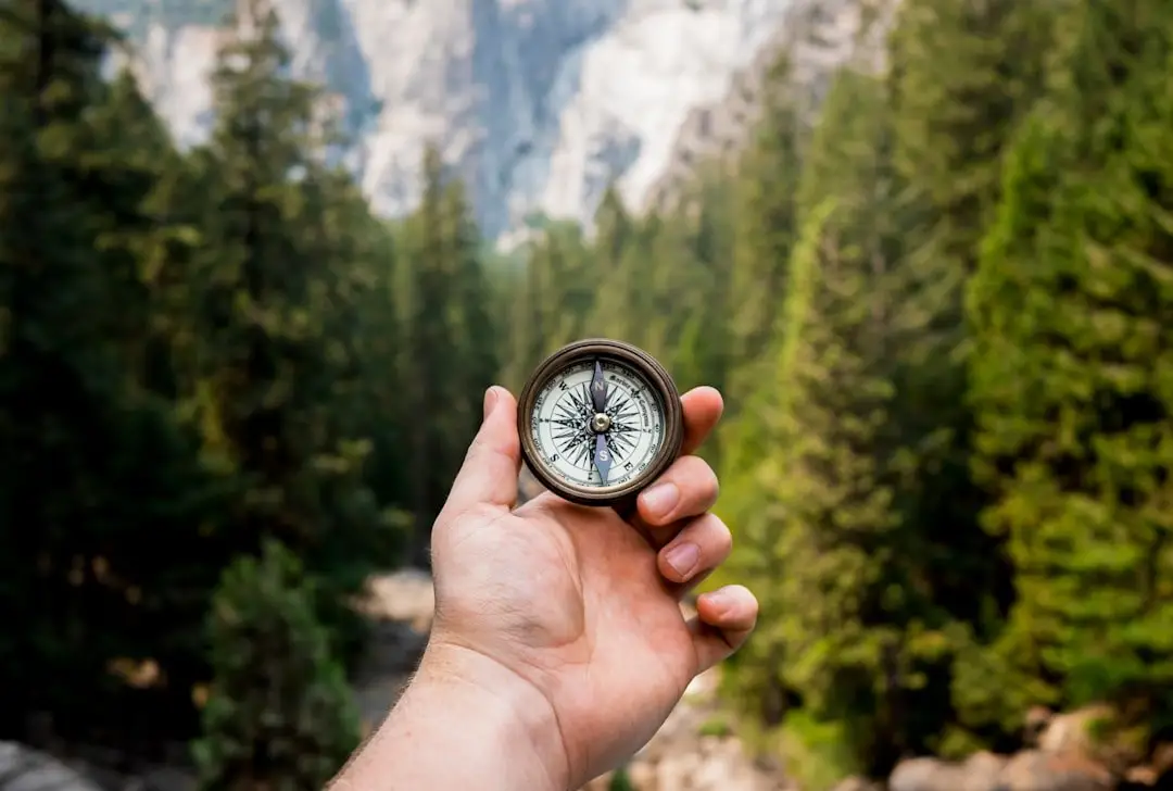 compass pic